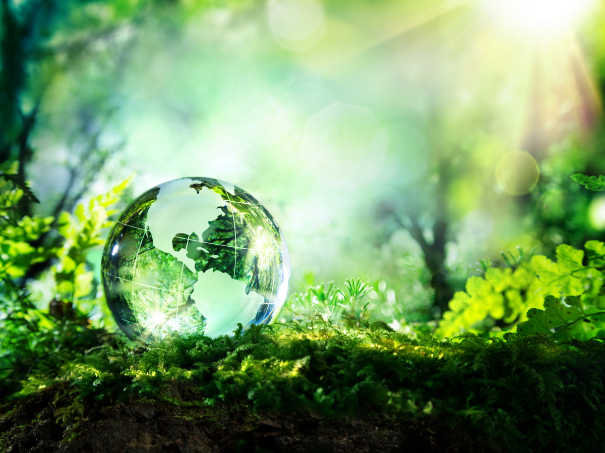 The pivotal role of fixed income markets in the ESG revolution