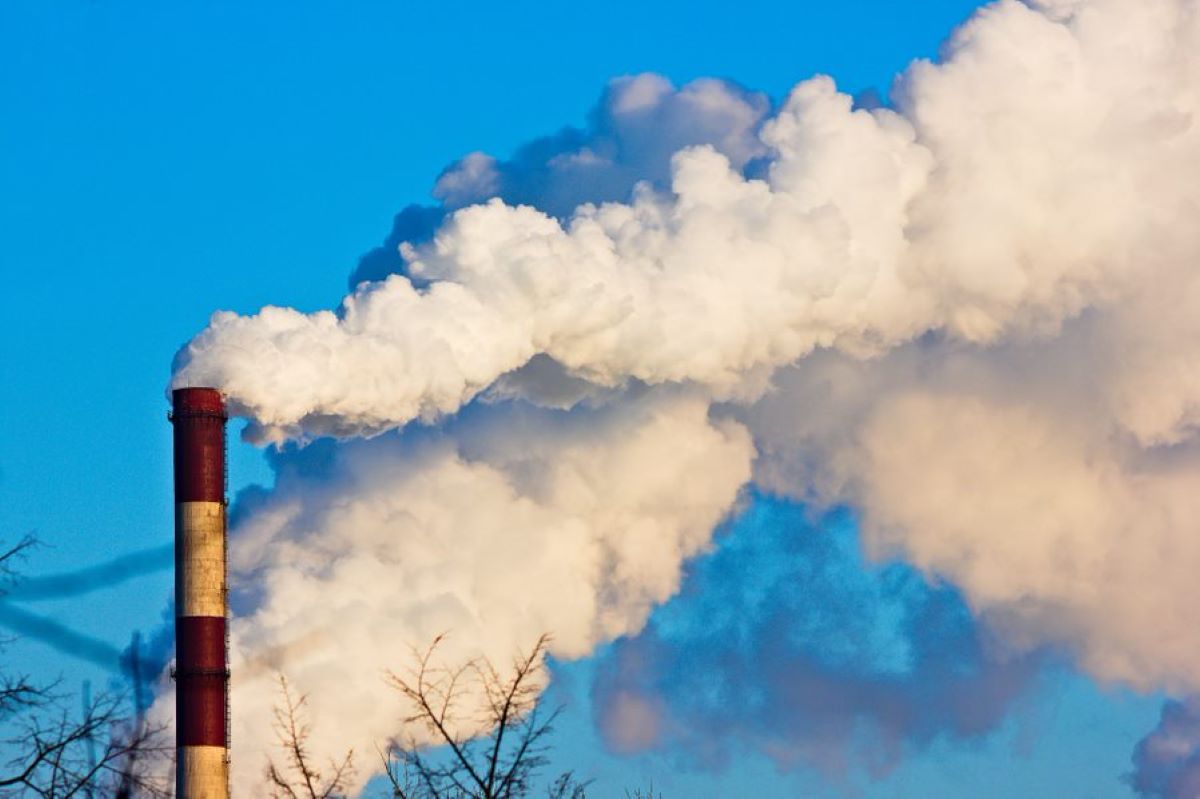 Establishing the importance of sustainable investing.