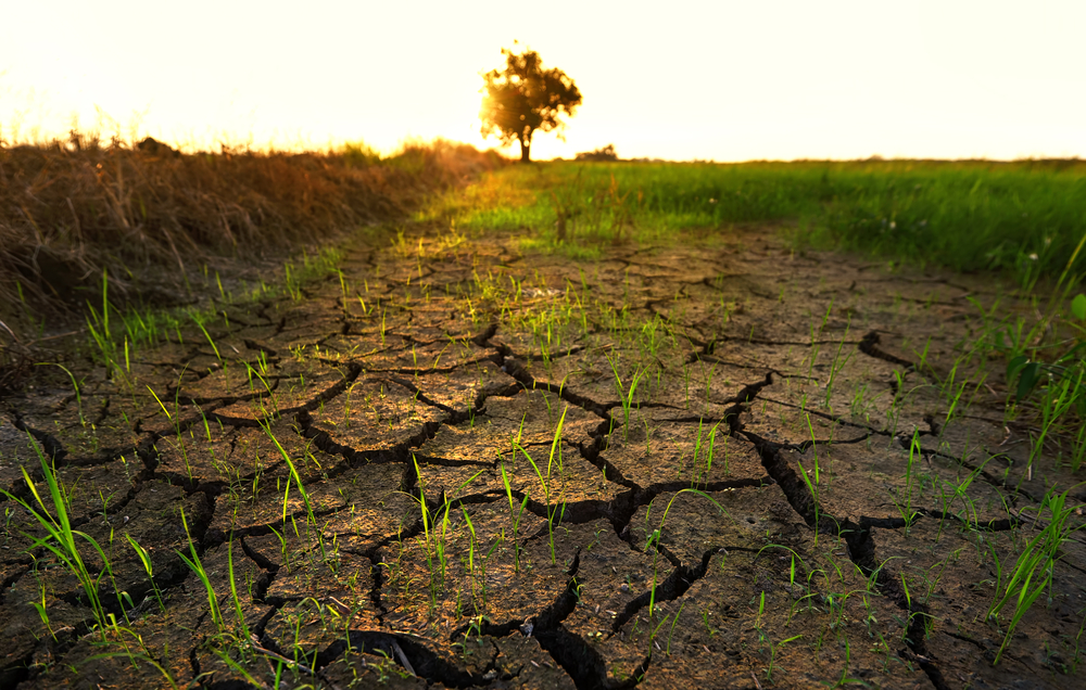 Why impact investing in EMs is more relevant than ever